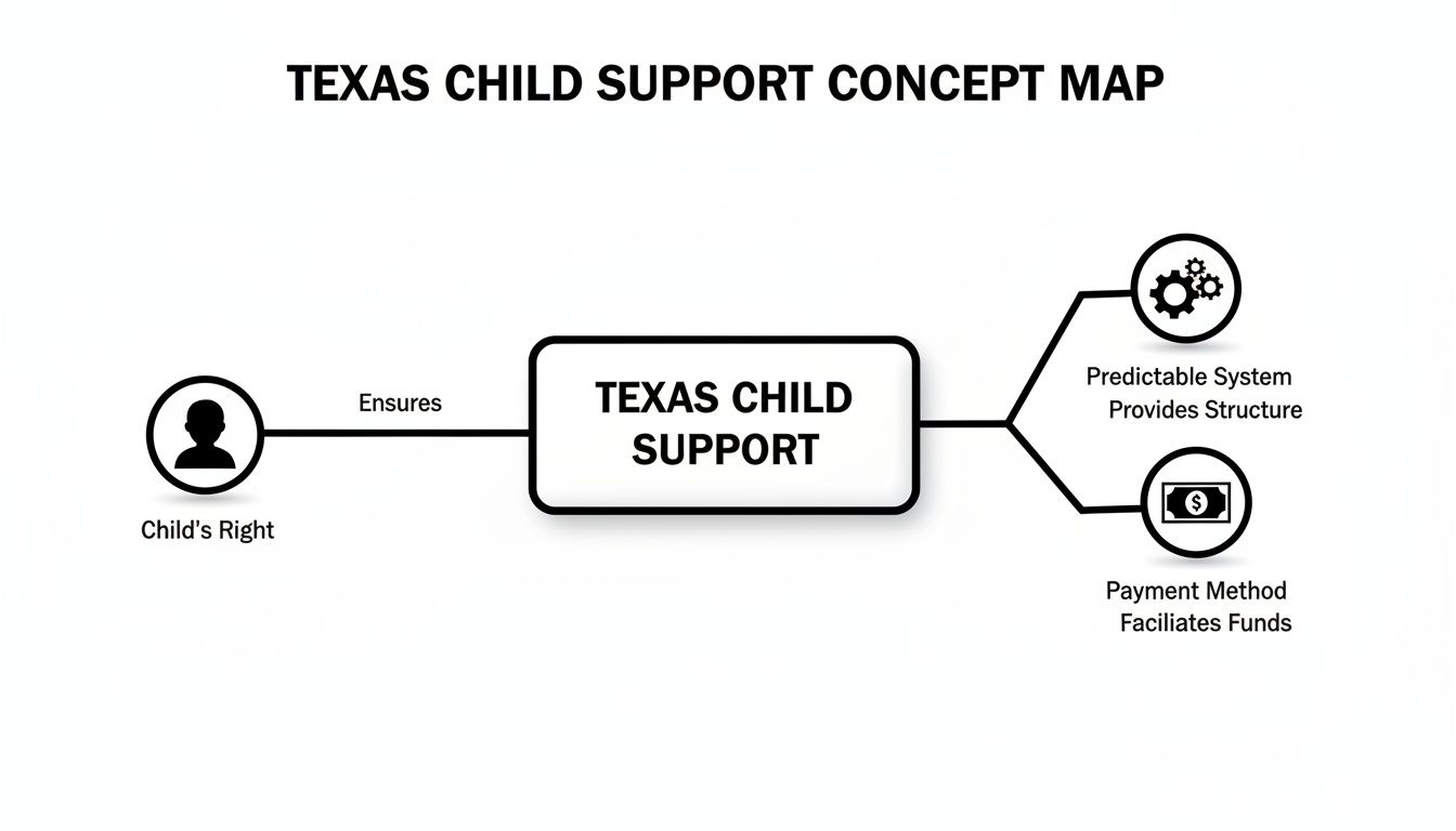 Concept map illustrating Texas Child Support, ensuring child's rights, providing structure, and facilitating payments.