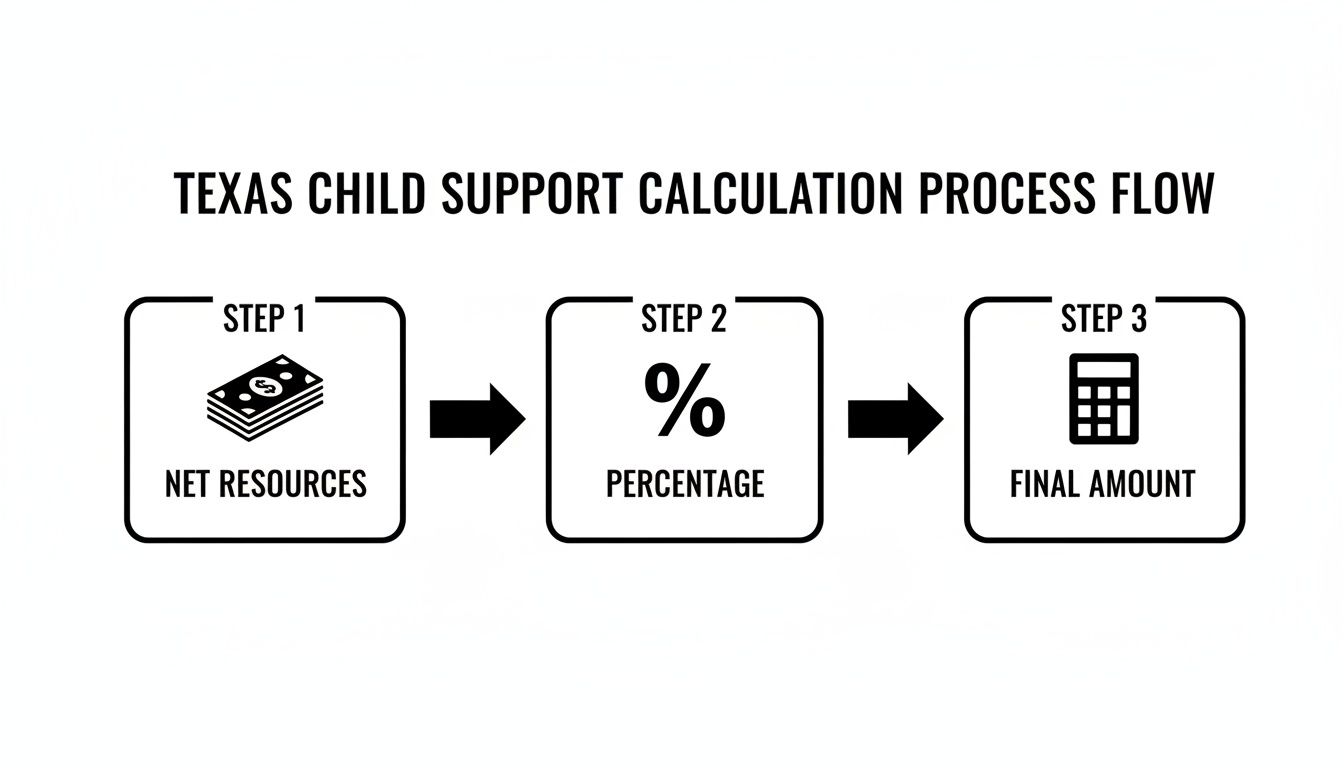 Flowchart illustrating the Texas child support calculation process: Net Resources, Percentage, and Final Amount.