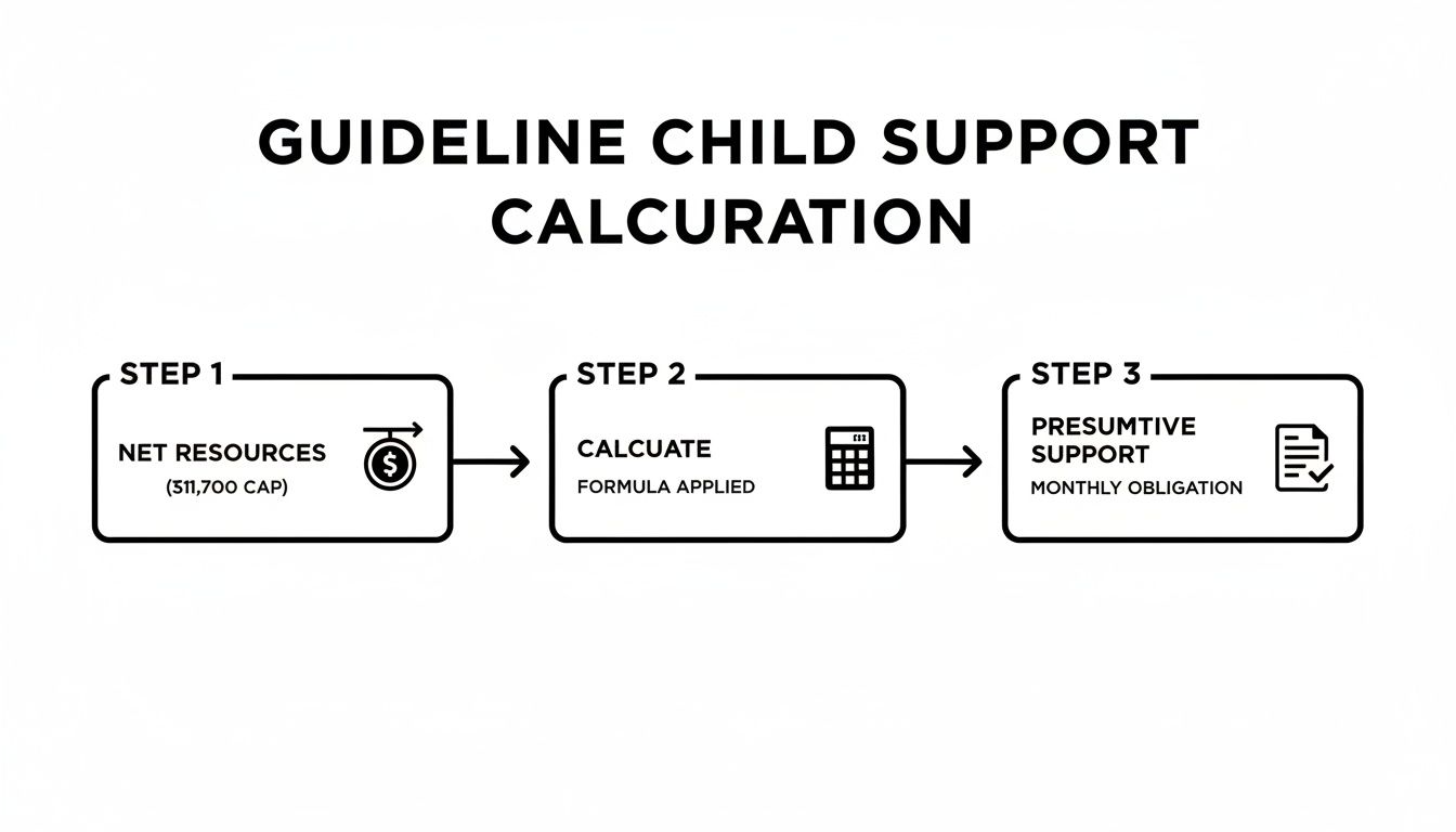 Flowchart illustrating the three-step guideline child support calculation process from net resources to monthly obligation.